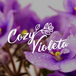 Cozy Violeta Appartement