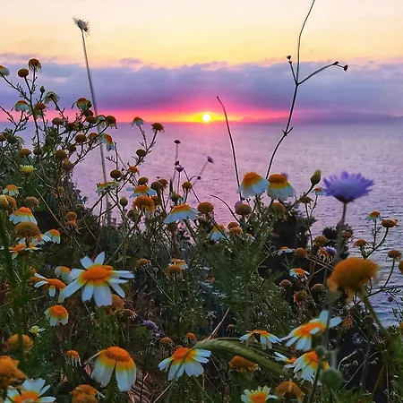 Daire Cozy Violeta Ialysos (Rhodes)