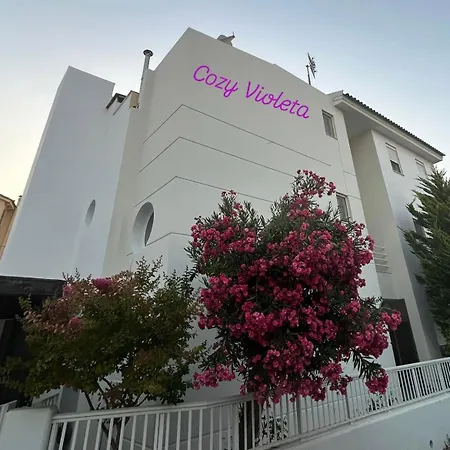 Cozy Violeta *