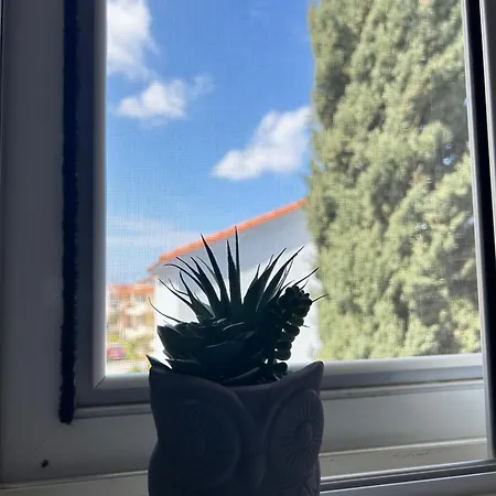 Cozy Violeta * إياليسوس