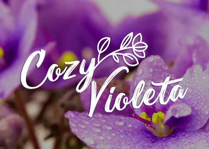 Cozy Violeta شقة