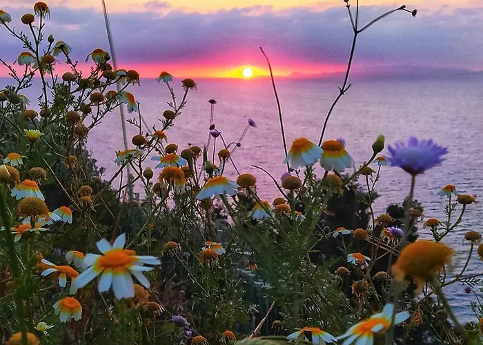 شقة Cozy Violeta إياليسوس