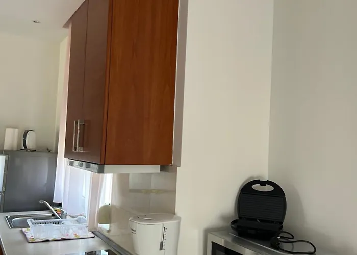 Cozy Violeta * إياليسوس