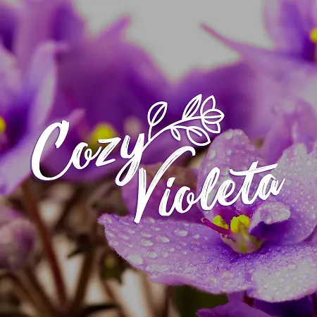 Cozy Violeta アパート