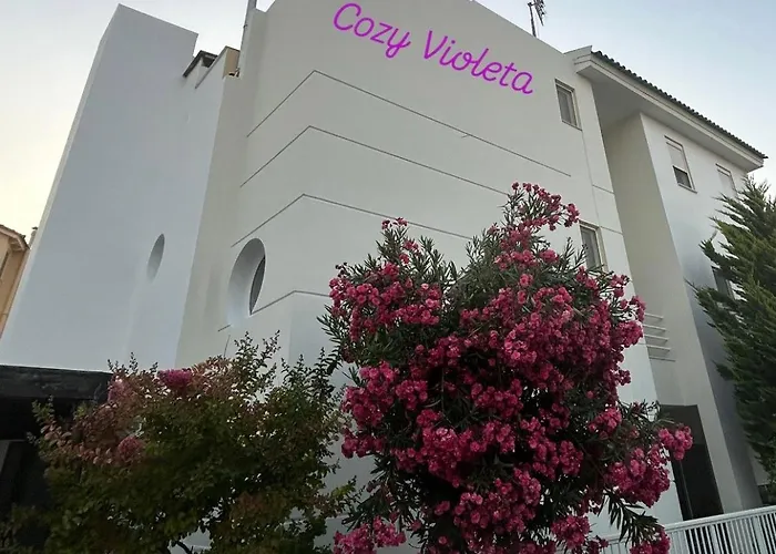 Cozy Violeta *