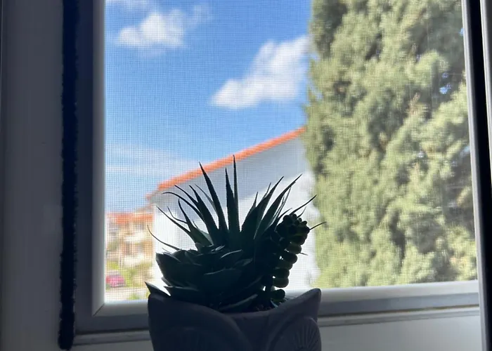 Cozy Violeta * Ialysos (Rhodes)